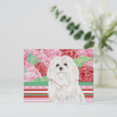 デラバラマルチーズ ポストカード (スタンド正面)