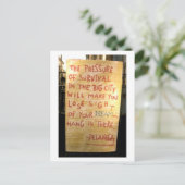 デラベガズ通りアート ポストカード (スタンド正面)