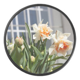 デリケートでかわいい水仙の春 アイスホッケーパック