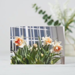 デリケートな可愛い水仙春