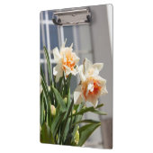 デリケートな可愛い水仙春 クリップボード (左)