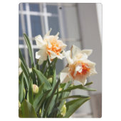 デリケートな可愛い水仙春 クリップボード (裏面)