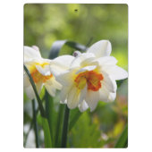 デリケートな可愛い水仙春 クリップボード (裏面)