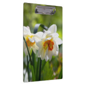 デリケートな可愛い水仙春 クリップボード (右)