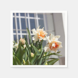 デリケートな可愛い水仙春 スタンダードカクテルナプキン