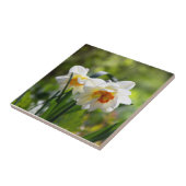 デリケートな可愛い水仙春 タイル (側面)