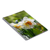 デリケートな可愛い水仙春 ノートブック (右側)