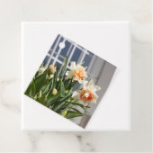 デリケートな可愛い水仙春 フェイバータグ (インサイチュ)