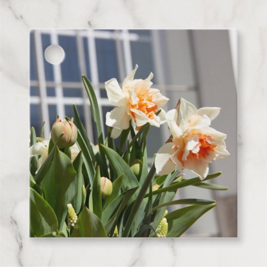 デリケートな可愛い水仙春 フェイバータグ (正面)