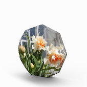 デリケートな可愛い水仙春 フォトブロック (右)