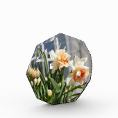 デリケートな可愛い水仙春 フォトブロック (左)