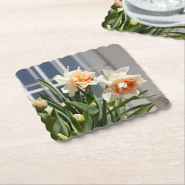デリケートな可愛い水仙春 ペーパーコースター