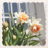 デリケートな可愛い水仙春 ペーパーコースター (正面)