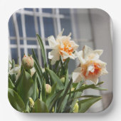 デリケートな可愛い水仙春 ペーパープレート (正面)