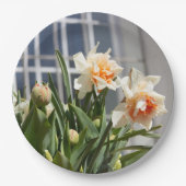 デリケートな可愛い水仙春 ペーパープレート (正面)