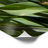 デリケートな可愛い水仙春 ポスター (コーナー)