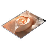 デリケートな桃バラと露 ノートブック (左側)