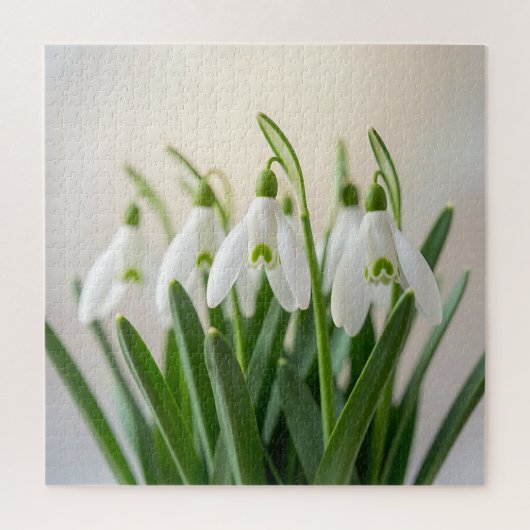 デリケートな白スノードロップの花 春の開花 ジグソーパズル (縦)