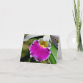 デリケートな蘭の花の写真メモ カード (正面)