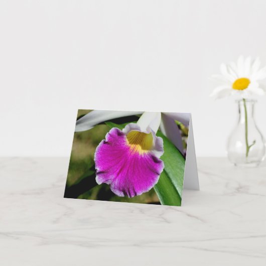 デリケートな蘭の花の写真メモ カード (小さな植物)