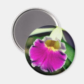 デリケートな蘭の花の写真 マグネット (正面/裏面)