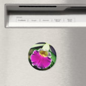 デリケートな蘭の花の写真 マグネット (インサイチュ (食洗機))
