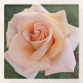 デリケートオレンジバラ開花フローラ ガラスコースター (正面)