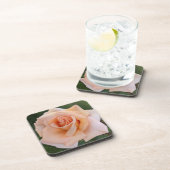 デリケートオレンジバラ開花フローラ コースター (右側)