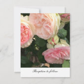 デリケートピンクローズ結婚式招待状 招待状 (裏面)