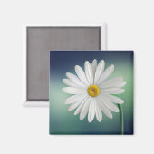 デリケート白デイジー マグネット (正面/裏面)