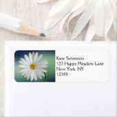 デリケート白デイジー ラベル (インサイチュ)