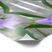 デリケート紫ゆり花鏡抽象芸術8x8 フォトプリント            (角)