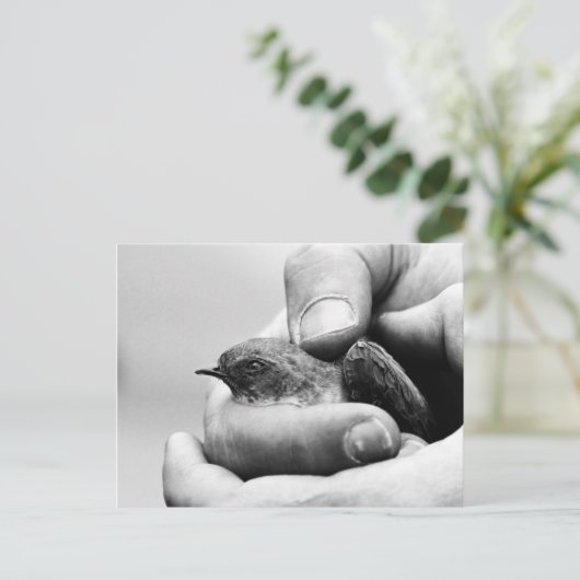 デリケート – はがき (スタンド正面)