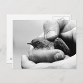 デリケート – はがき (正面/裏面)