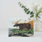 デルエルチまたはエルク(1886) ポストカード (スタンド正面)