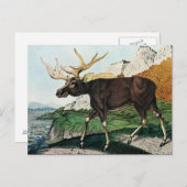 デルエルチまたはエルク(1886) ポストカード (正面/裏面)