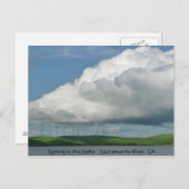 デルタの春 ポストカード (正面/裏面)