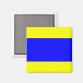 デルタ イエロー ブルー マグネット (正面/裏面)