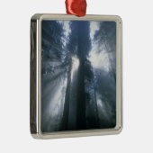 デルノーテ郡セコイア国立公園霧 メタルオーナメント (右)