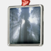 デルノーテ郡セコイア国立公園霧 メタルオーナメント (左)