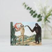 デルヒューロックまたはザパーロック・ギボン(1835) ポストカード (スタンド正面)