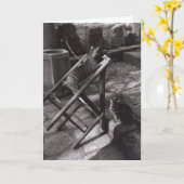 デルファイ、ギリシャ(挨拶状)で遊んでいる猫 カード (黄色い花)