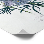 デルフィニアム「The Ladeys」フラワーガーデンより ポスター (角)