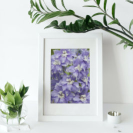 デルフィニウムの紫の花 フォトプリント