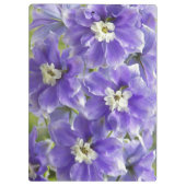 デルフィニウムの紫色の花 クリップボード (裏面)