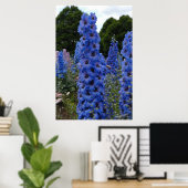 デルフィニウム ポスター (ホームオフィス)