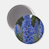 デルフィニウム マグネット (正面/裏面)