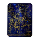 デルフィヌス星座磁石 マグネット (縦)