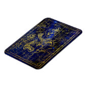 デルフィヌス星座磁石 マグネット (左側)