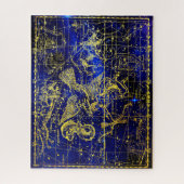 デルフィヌス星座 ジグソーパズル (縦)